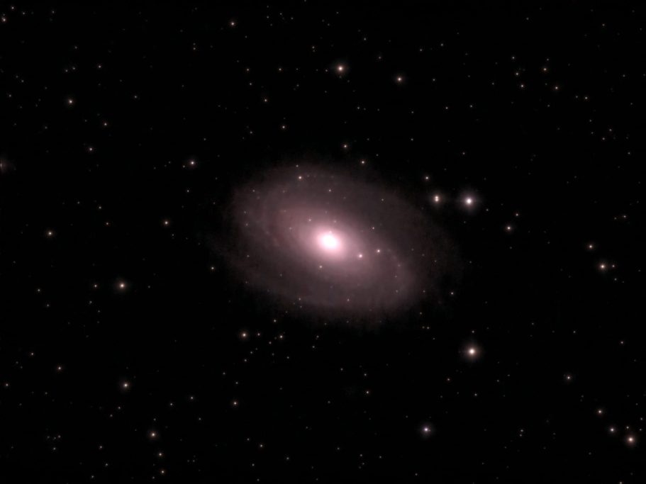 M 81